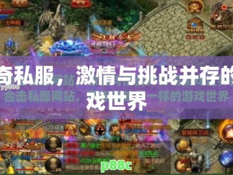 传奇私服，激情与挑战并存的游戏世界